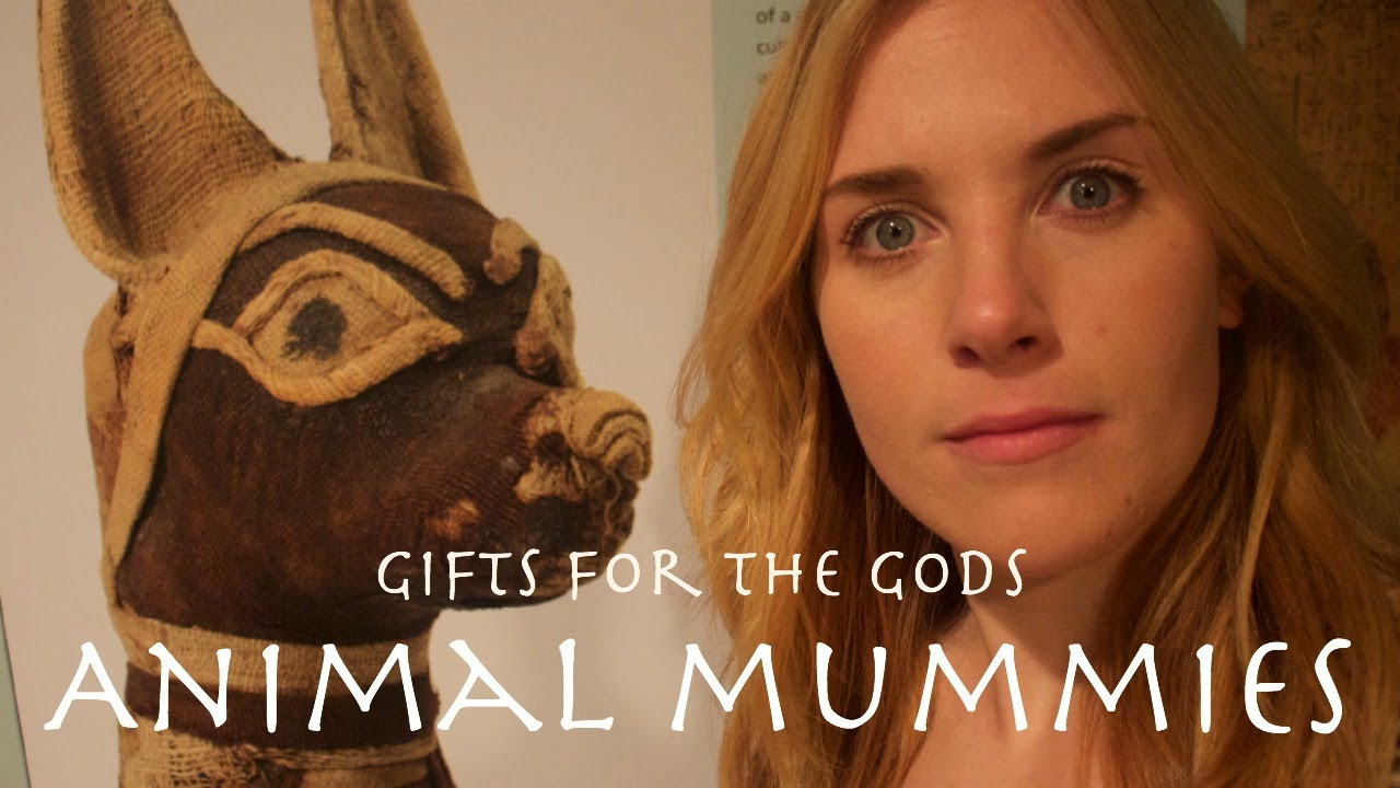 Ancient Egyptian Mummified Cats?! | Gifts for the Gods| Maddie Moate