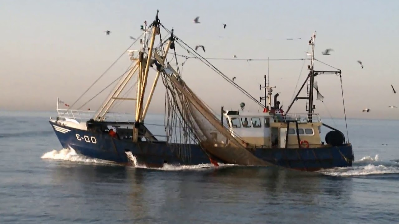 Ciska Peters ♪ Bouzouki's klinken door de Nacht ♫ (1984)