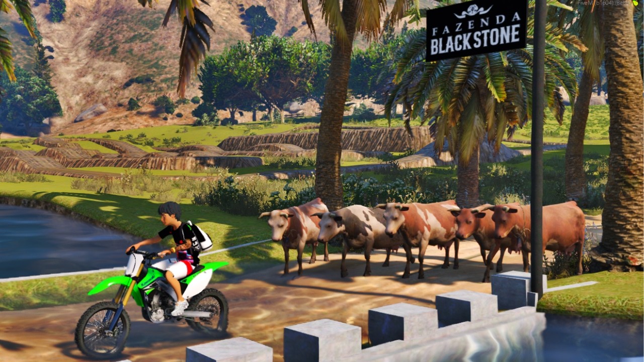 GTA 5 VIDA REAL: FUI NA FAZENDA BLACKSTONE PRA ANDA DE MOTO DE TRILHA E TIVE QUE FUGIR DAS VACA