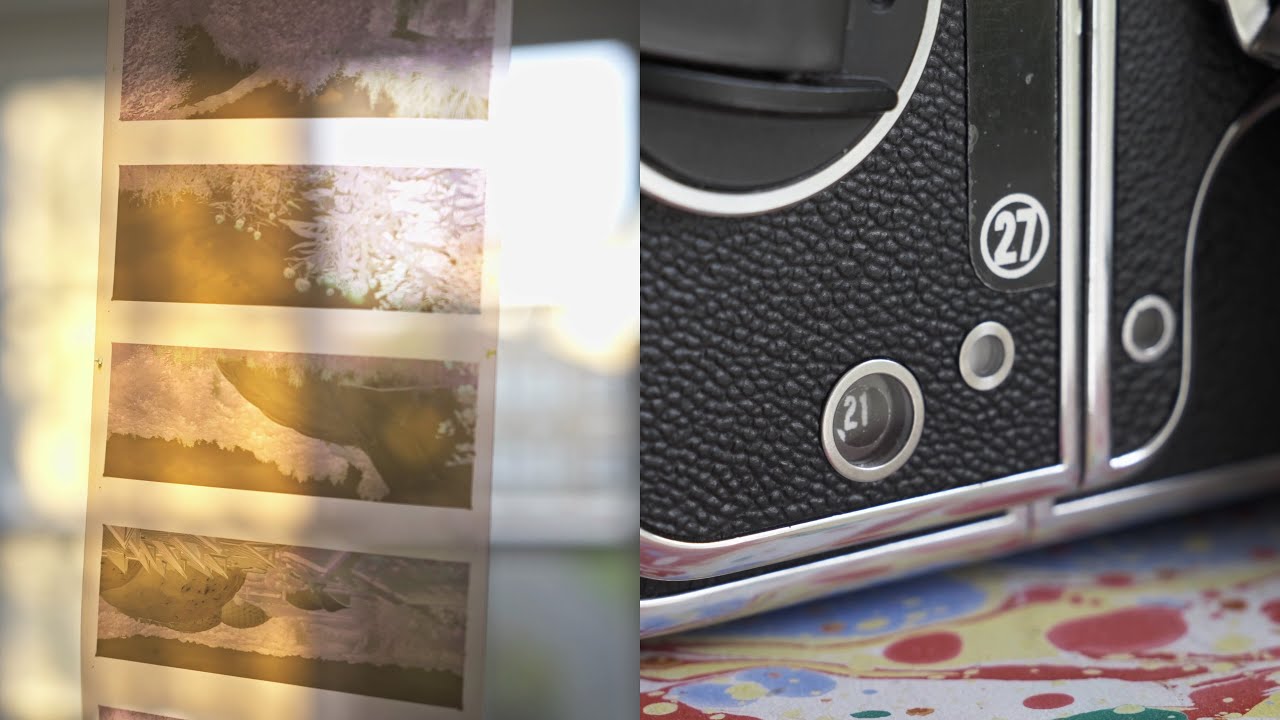 VPAN ~ Panoramas with the 500 CM ~ P27