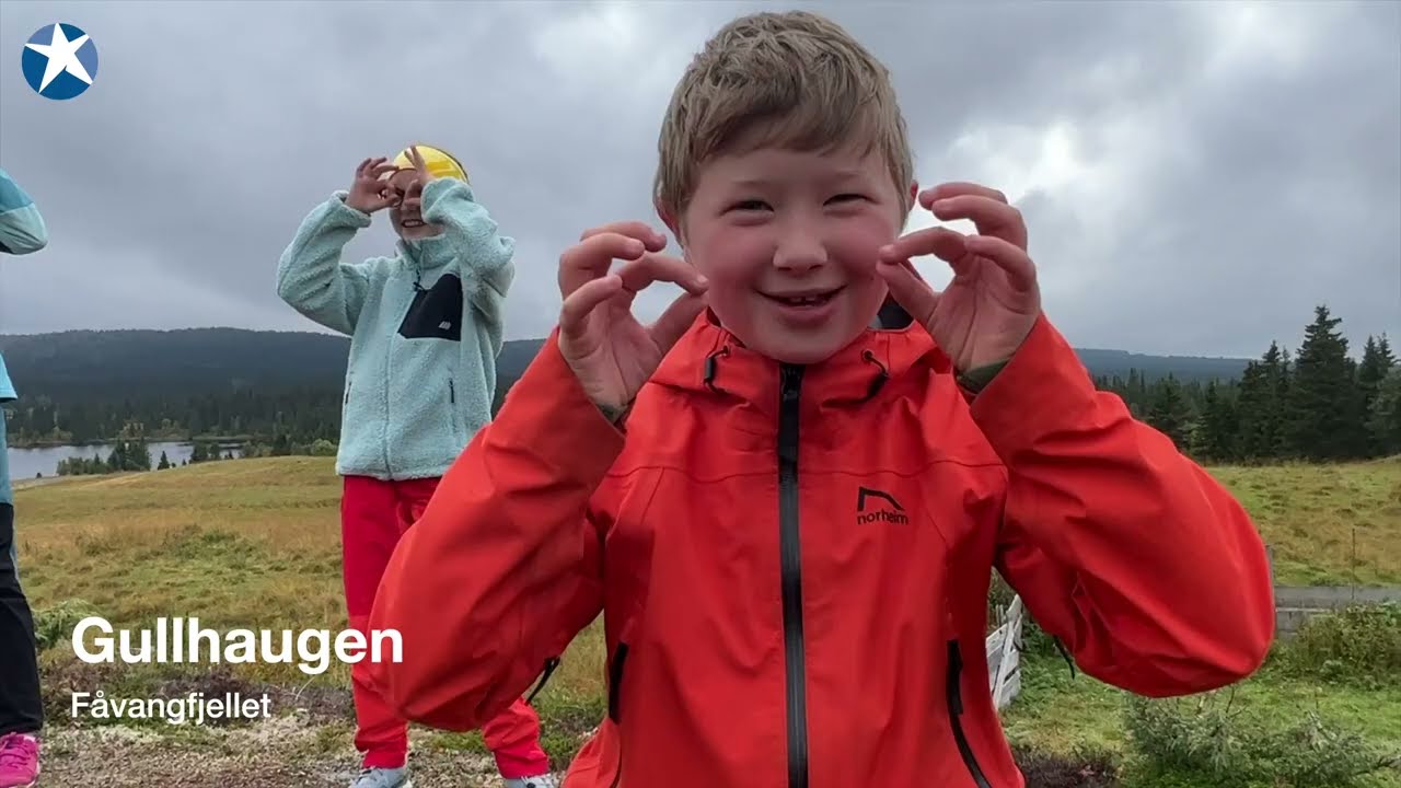Se mitt øye se