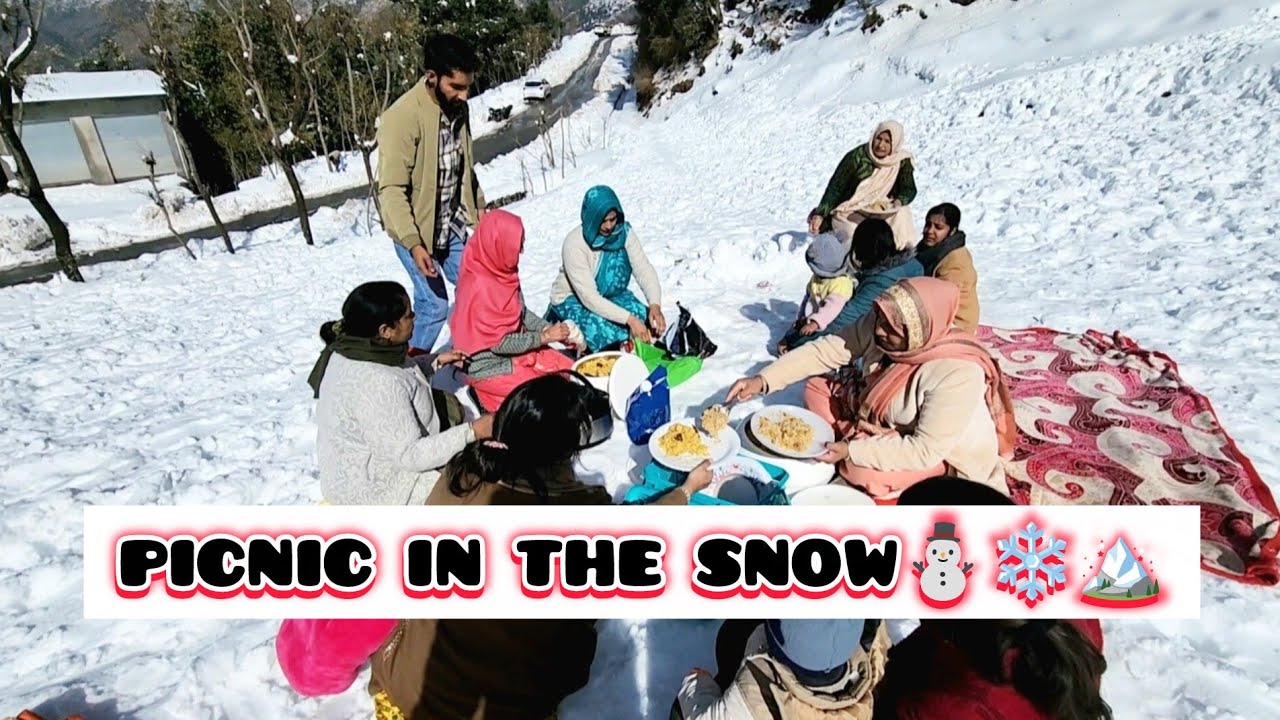 WINTER PICNIC WITH FAMILY ☃️ | SNOW AND GAMES 🏔 || Dazy