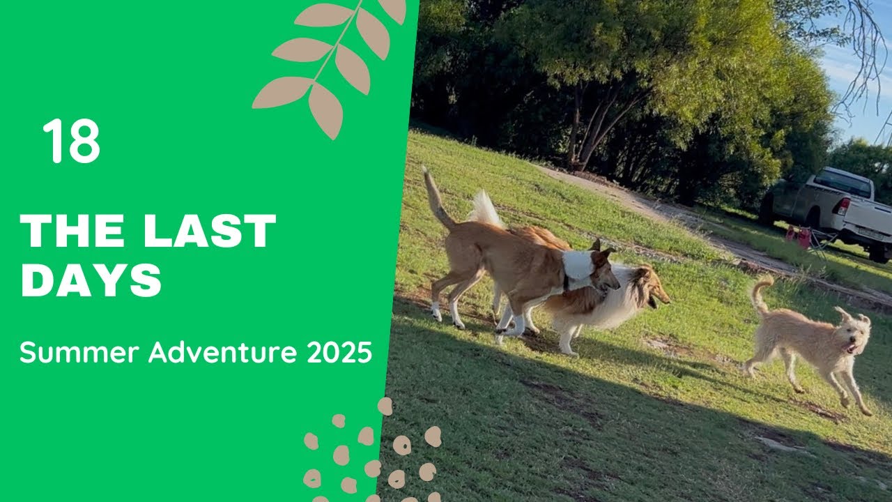 The Last Days | When Holidays Come to an End 🐕
