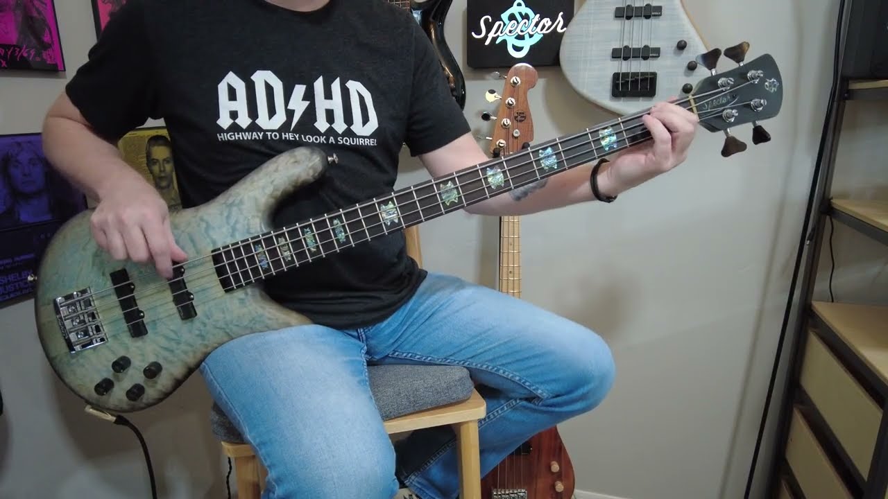 Spector NS-2J 