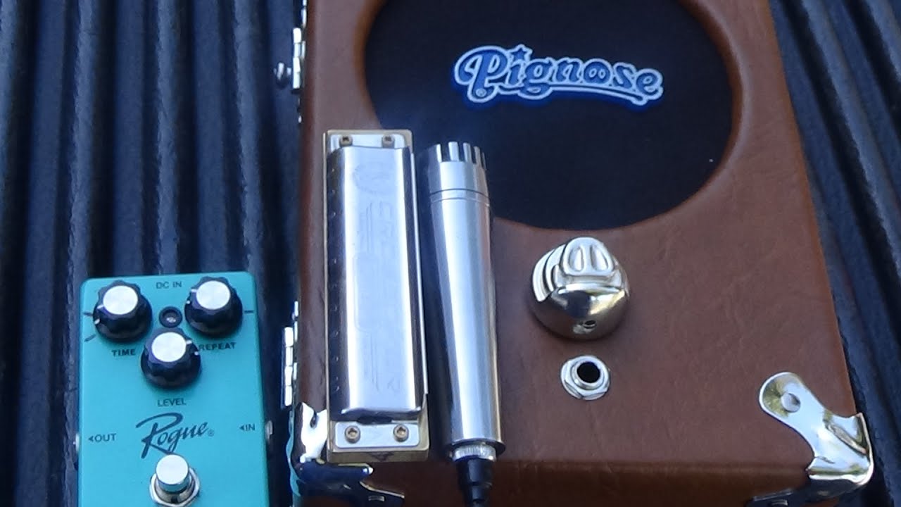 Pig nose 7-100 harmonica amp Tailgate sessions #2