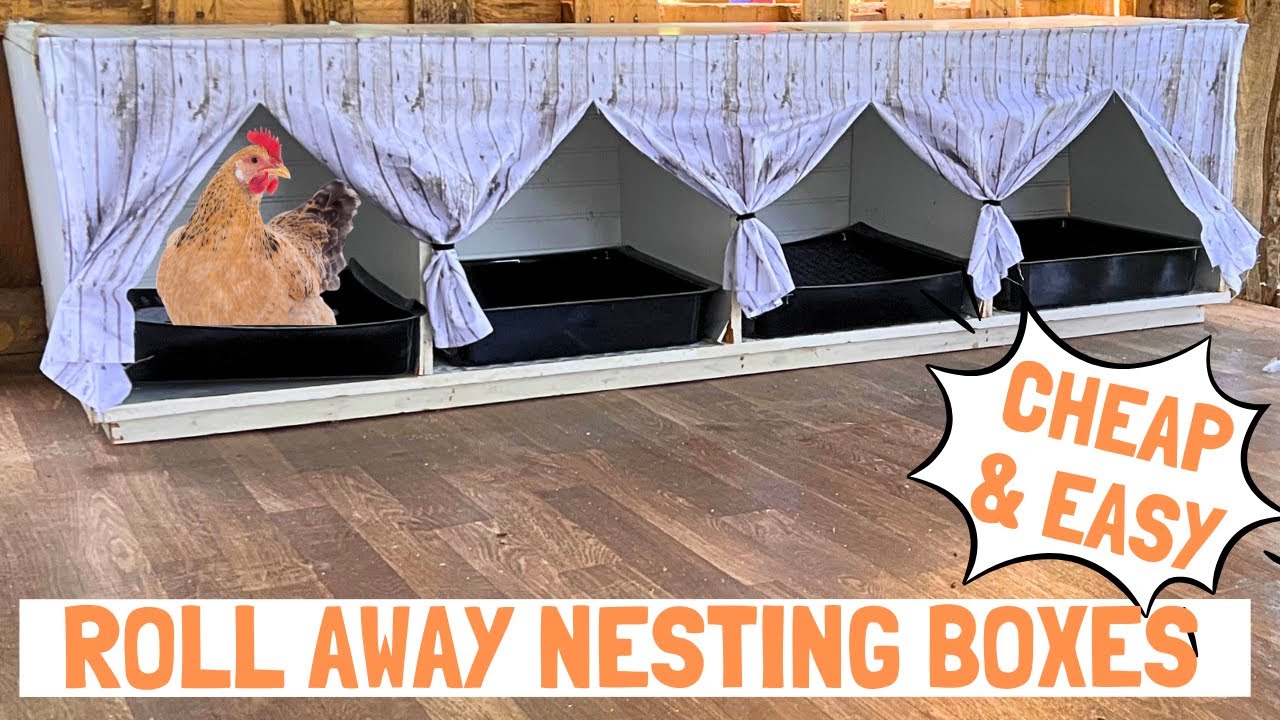 DIY Roll Away Nesting Boxes for Our Chickens!