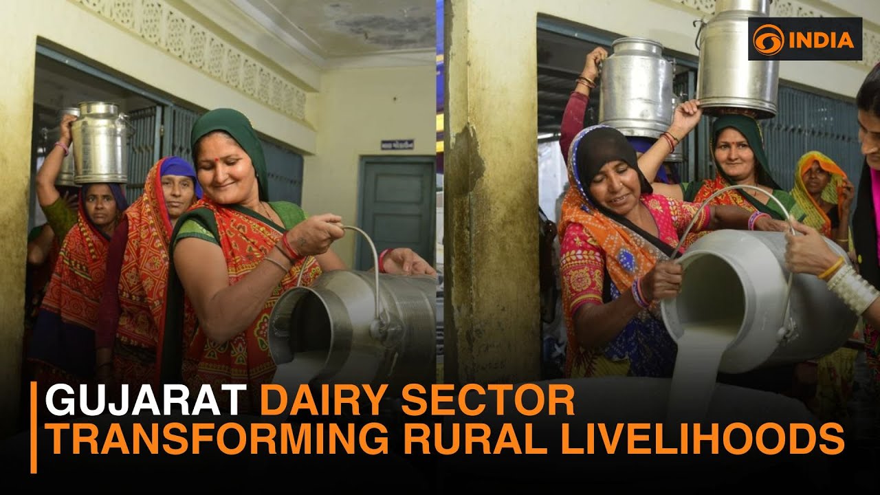 Gujarat dairy sector transforming rural livelihoods
