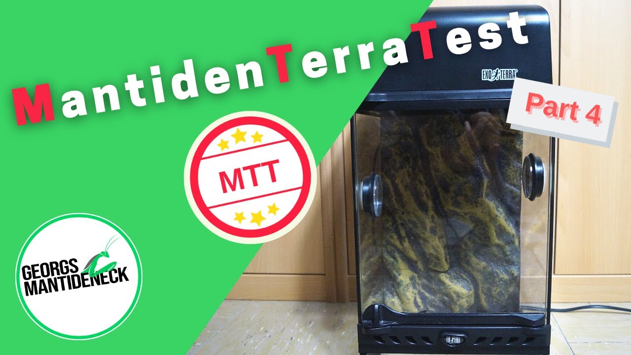 MTT: Terrarium von Exo Terra im Test