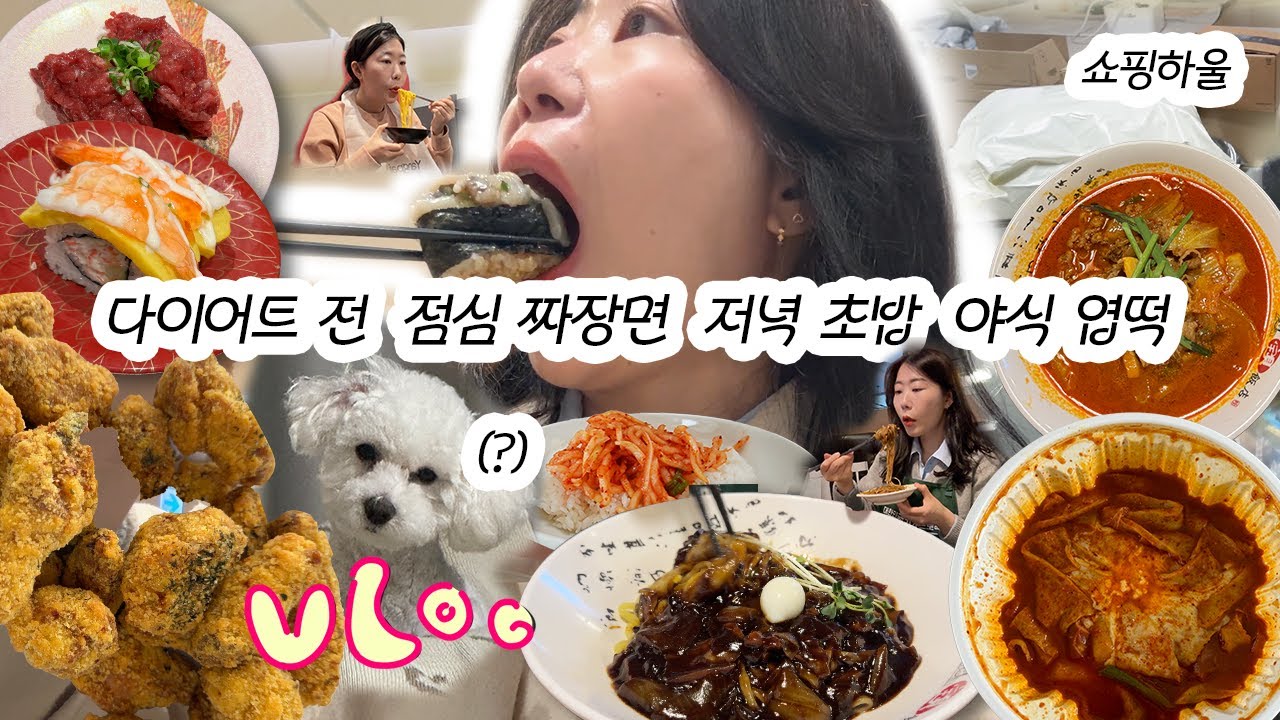 먹방 브이로그ㅣ저 백수는 아니어요 이래서 살을 못 빼나 싶고.. 운전시작, 크크크 치킨먹방, 운전 시작, 옷 쇼핑, 무생채 비빔밥, 회전 초밥, 엽떡 먹방, 짜장면, 양꼬치