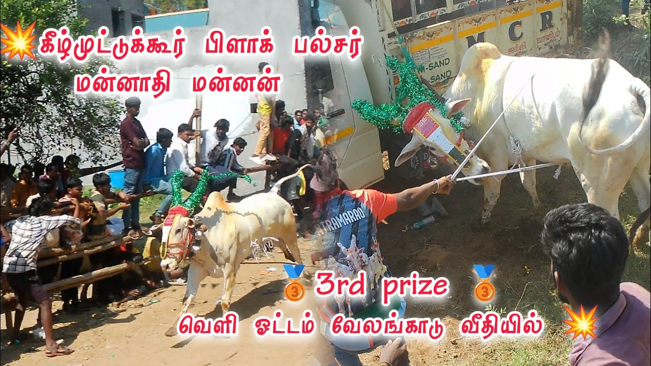 💥கீழ்முட்டுக்கூர் பிளாக் பல்சர் மன்னாதி மன்னன் 3rd prize 🥉வெளி ஓட்டம் வேலங்காடு வீதியில் 💥