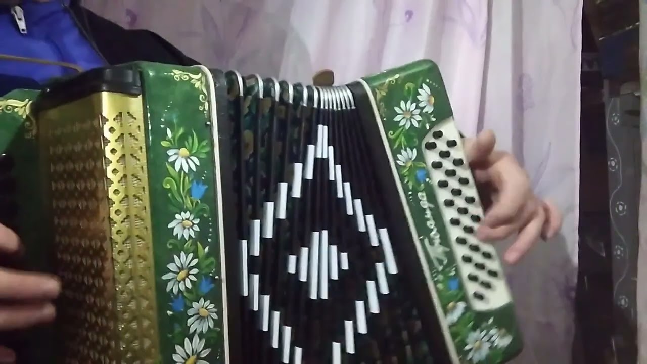 Полька на 2х голосій гармоні з Житомира