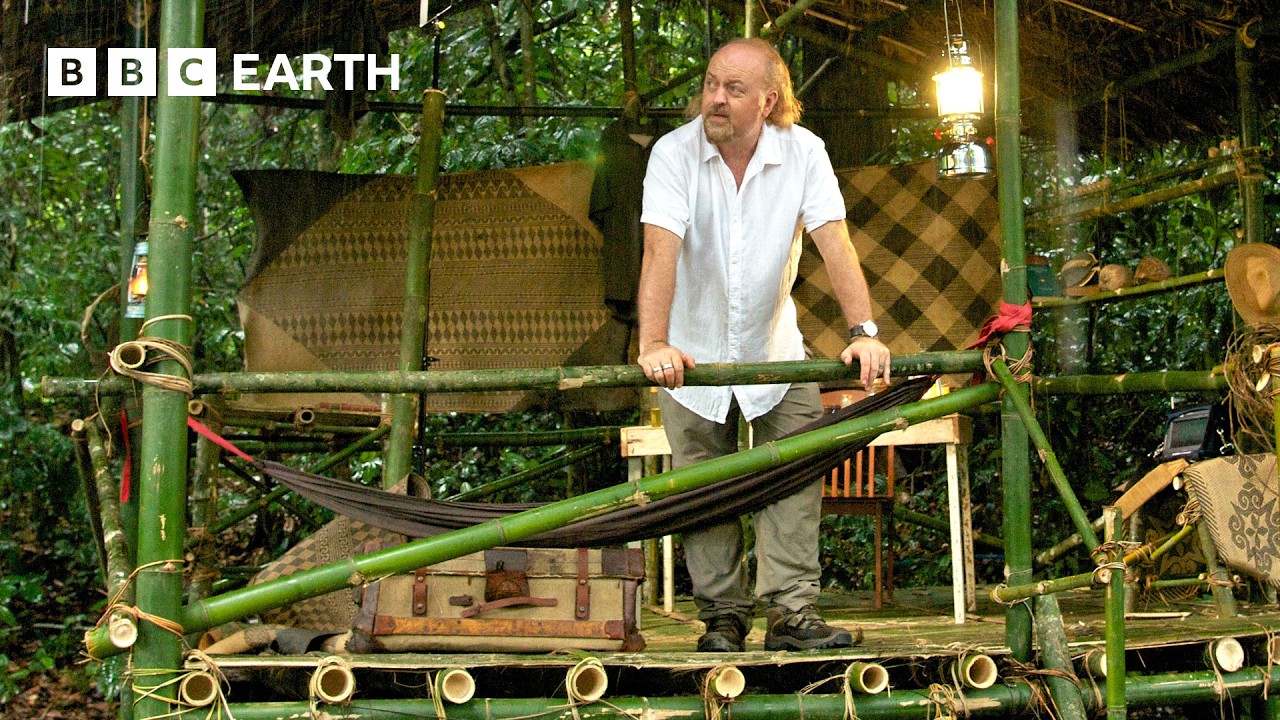 🔴 LIVE: Amazing Bornean & Indonesian Jungle Wildlife | Bill Bailey's Jungle Hero | BBC Earth Explore