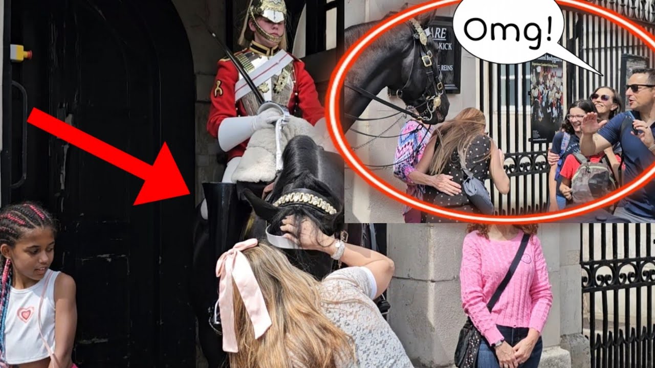 NIPPY King's Horse has had enough with these Silly Tourists!