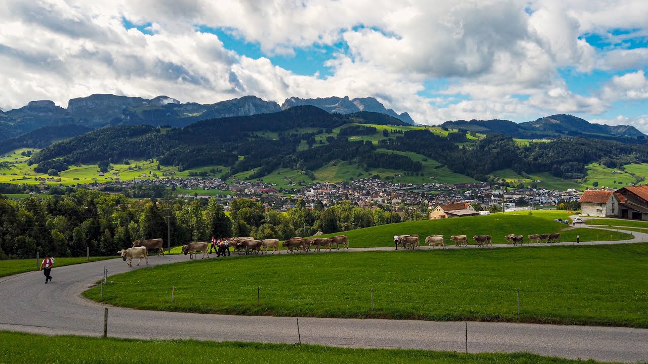 Alpabfahrt Wasserauen to Meistersrüte | Me löönd aab | Cattle Drive Appenzell 2022