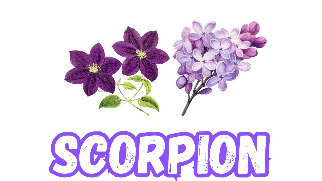 SCORPION🔮✨ L’univers ouvre une porte… êtes-vous prêt à laisser l’ancien derrière vous ⁉️