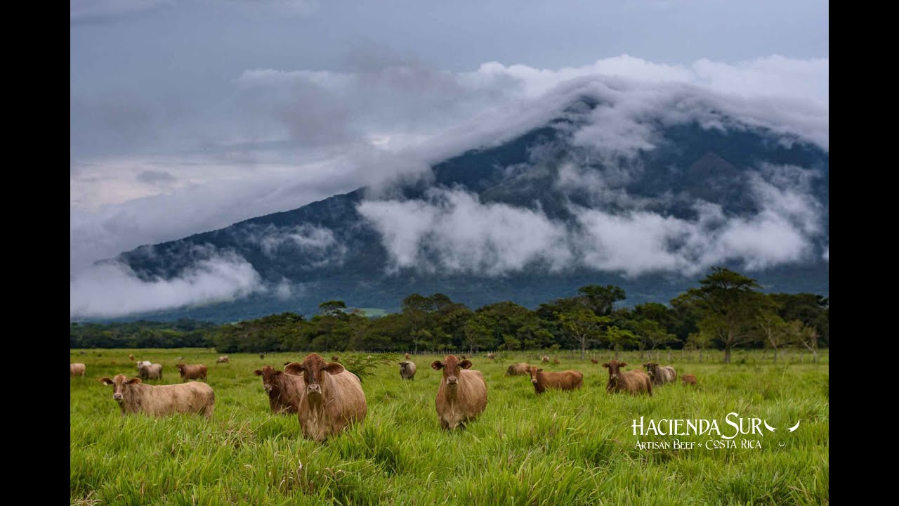 Hacienda Sur - Costa Rica