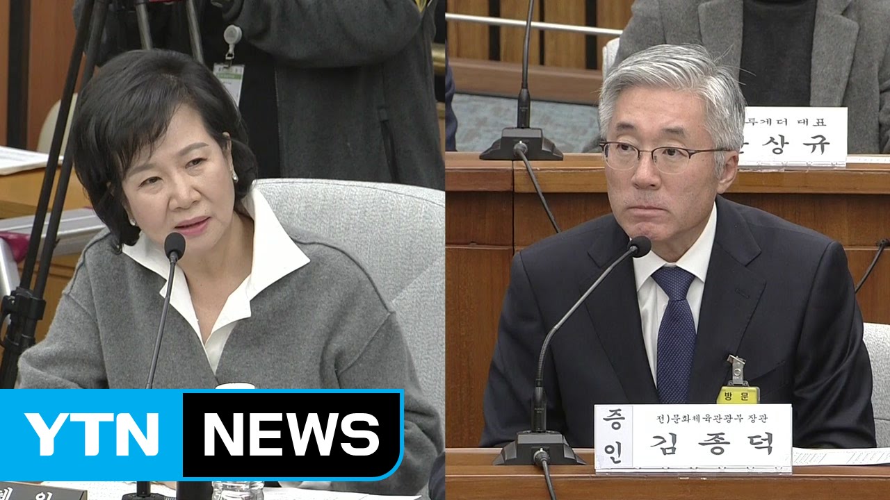 [청문회영상] 손혜원 "김종덕, 김종에게 이용당한 것" / YTN (Yes! Top News)