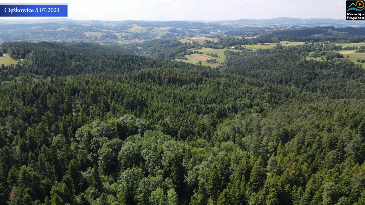 Rusza budowa ścieżki w koronach drzew - Ciężkowice 2021