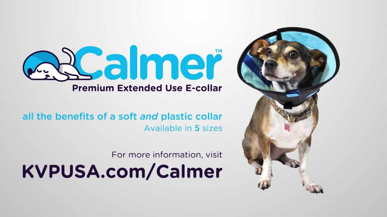 The Calmer Recovery Collar