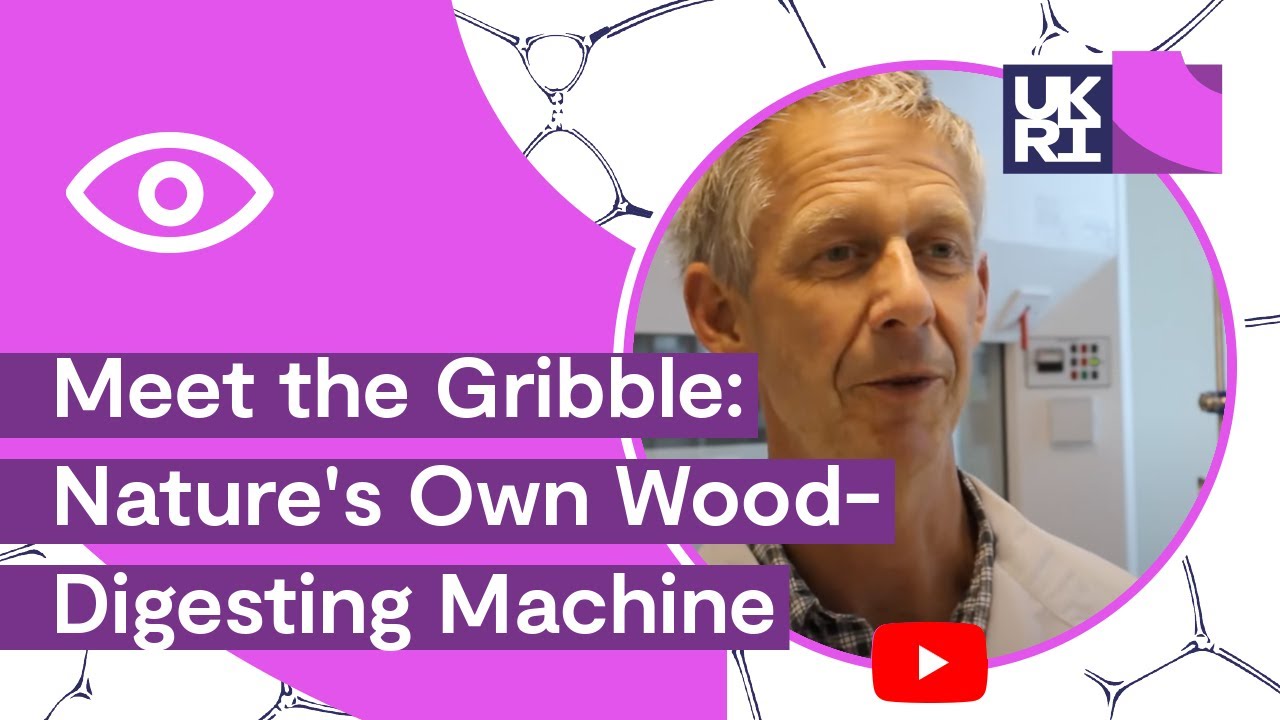 Meet the #Gribble: Nature's Own Wood-Digesting Machine
