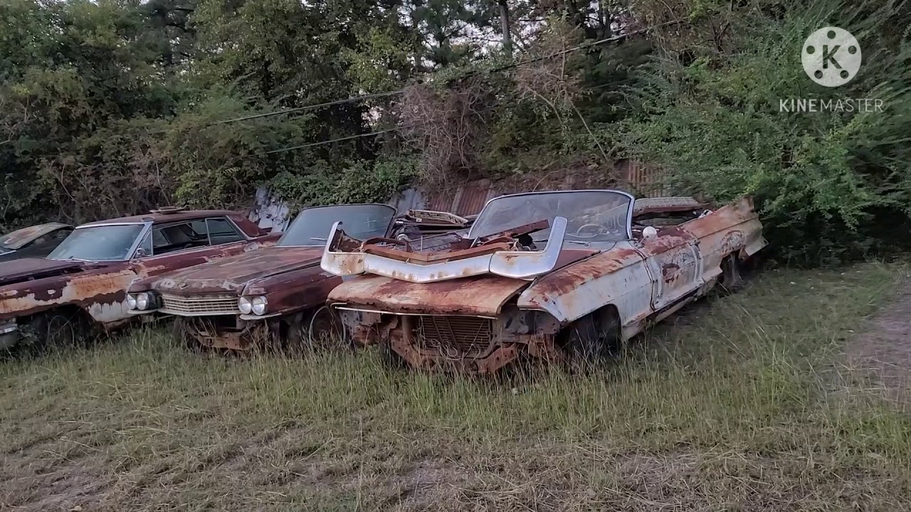 Resting Relics: 1950s and 1960s Cadillac salvage cars junkyard tour in Longview Texas