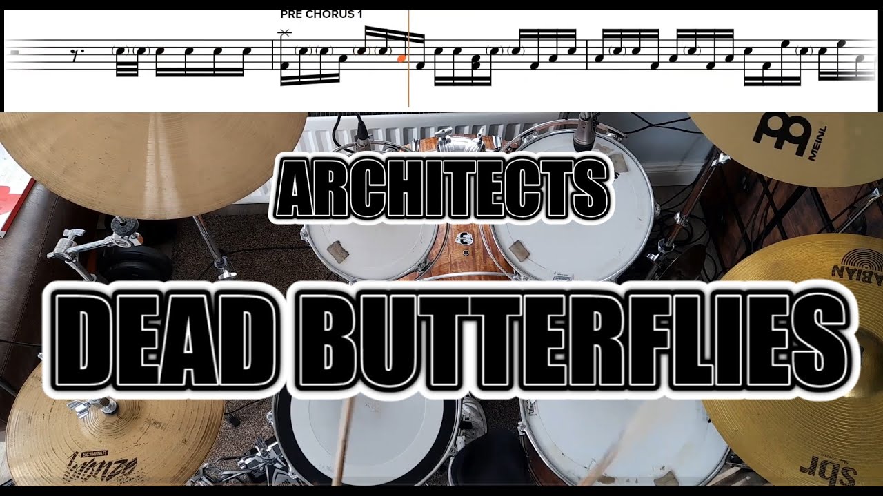 Architects - Dead Butterflies - Drum Cover With SHEET MUSIC