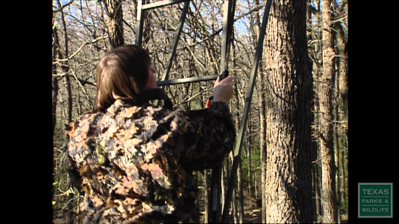 Tree Stand Safety