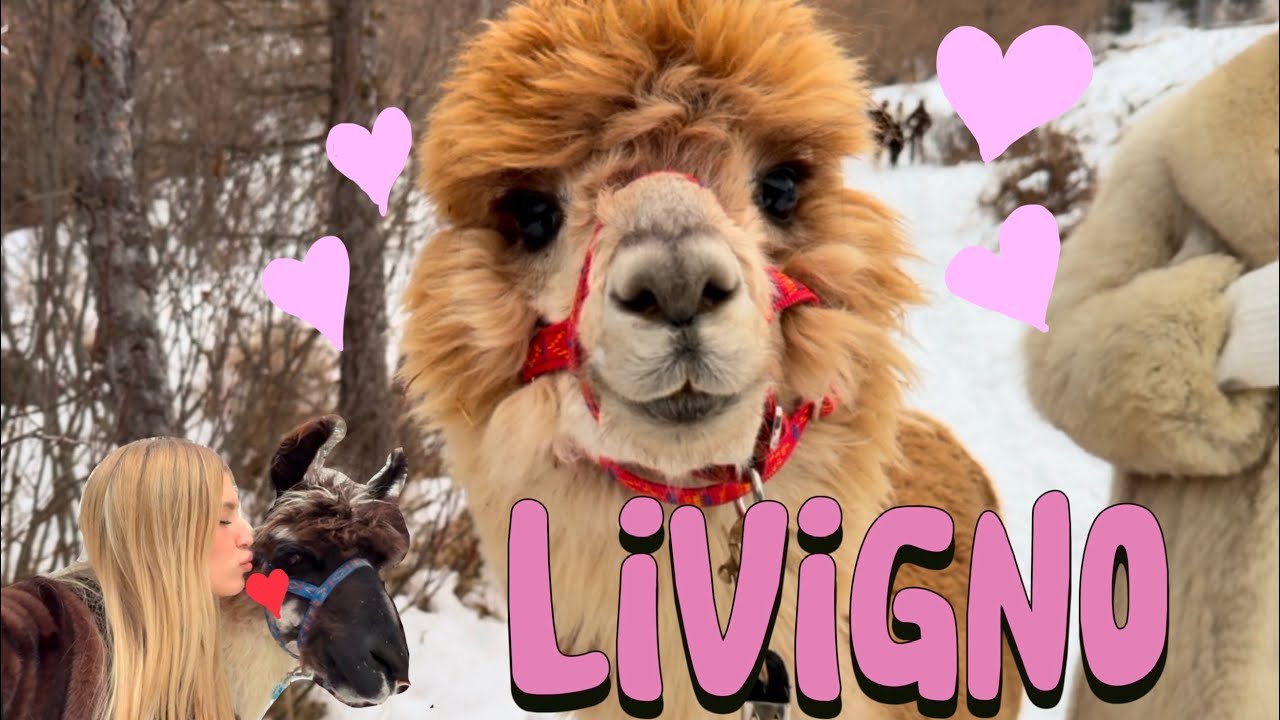 Ho baciato un lama | vlog livigno
