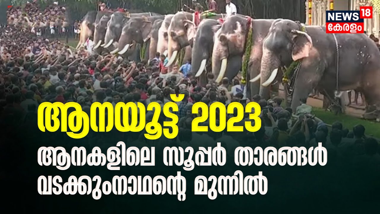 Aanayoottu | 55 elephants participated in the elephant festival at Thrissur Vadakkunnathan Temple, thousands came to watch the elephant festival