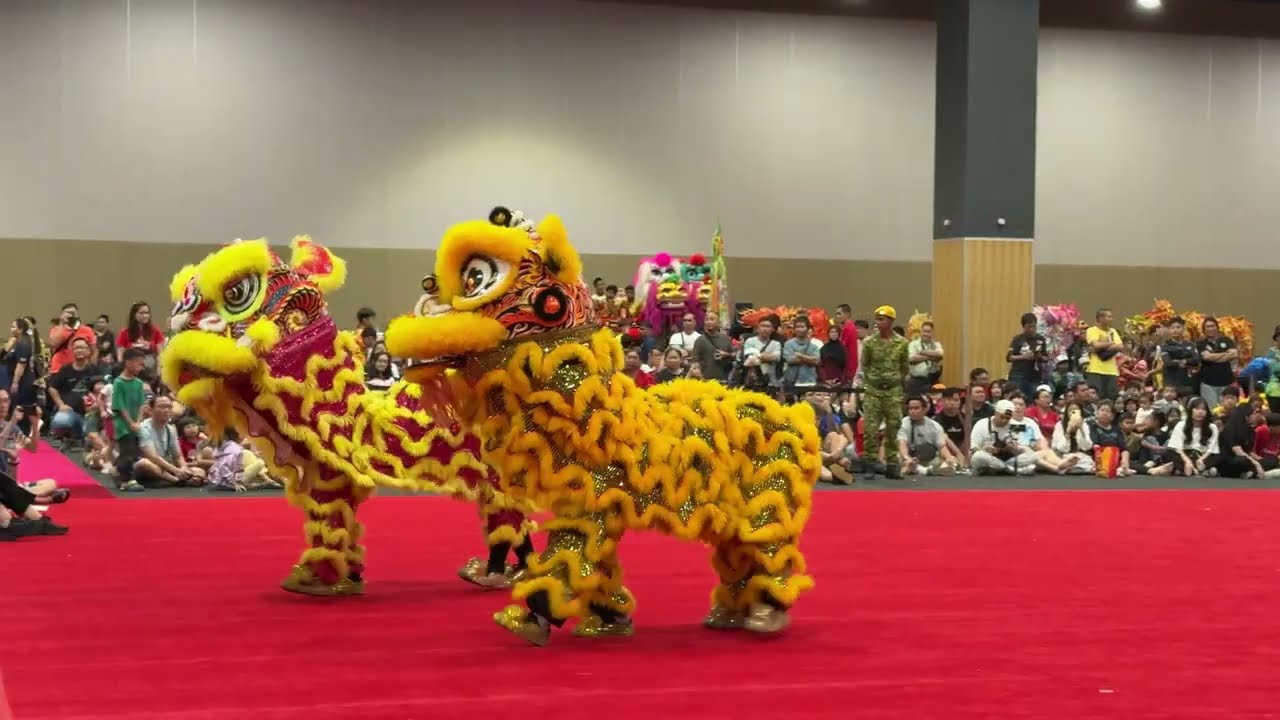 IMG 0313