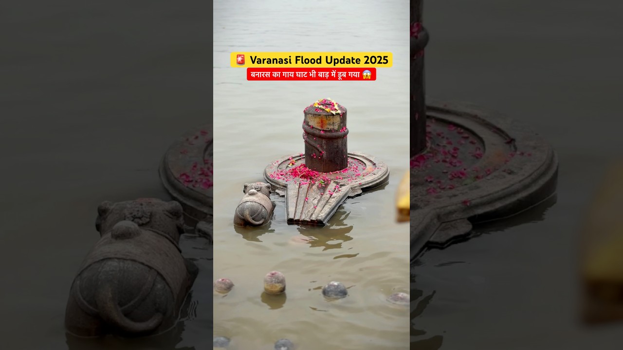 Varanasi Flood 2025 : बनारस का गाय घाट भी बाड़ से डूब गया है 😱 #varanasi #flood #update #banaras