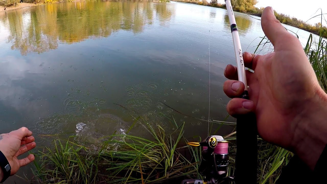 FishUp Tanta - реплика с AliExpress. Приманка на окуня! Микроджиг. Тест приманок.