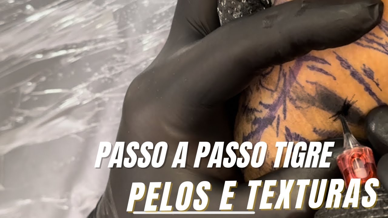 PASSO A PASSO TIGRE PELOS E TEXTURAS