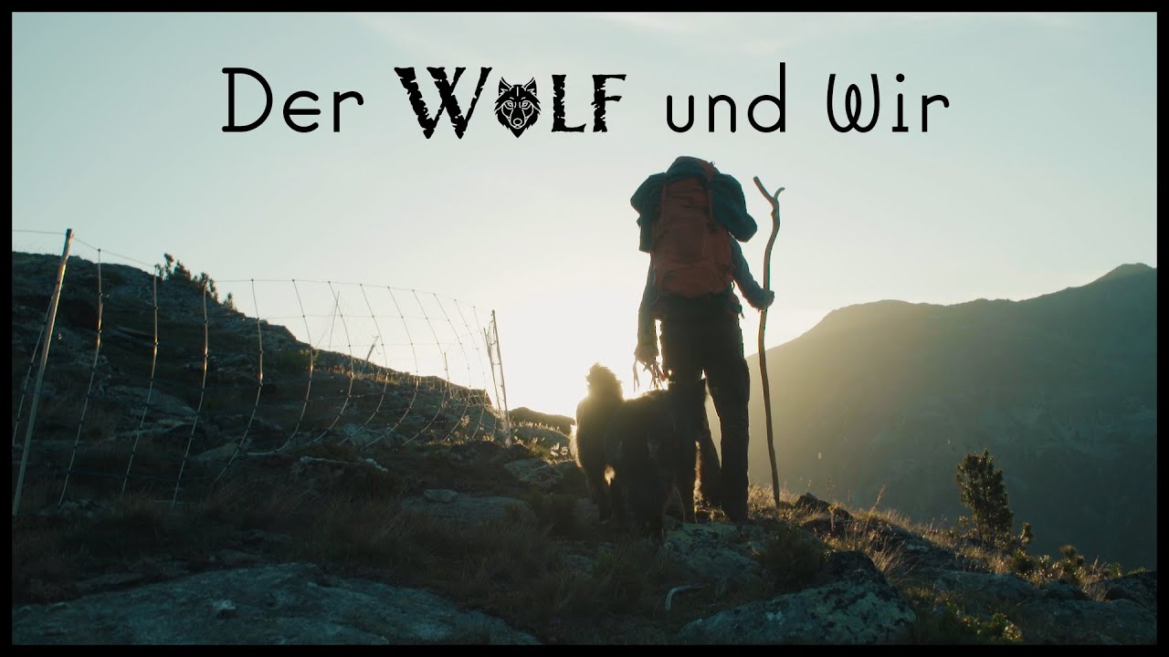 Der Wolf und Wir