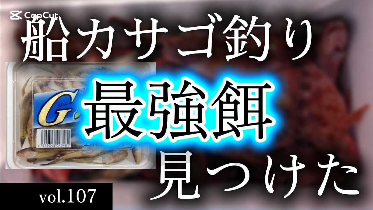 vol.107 船カサゴ釣りで一人勝ちできる餌をみつけた。#カサゴ #ガシラ #ホゴメバル #ロックフィッシュ
