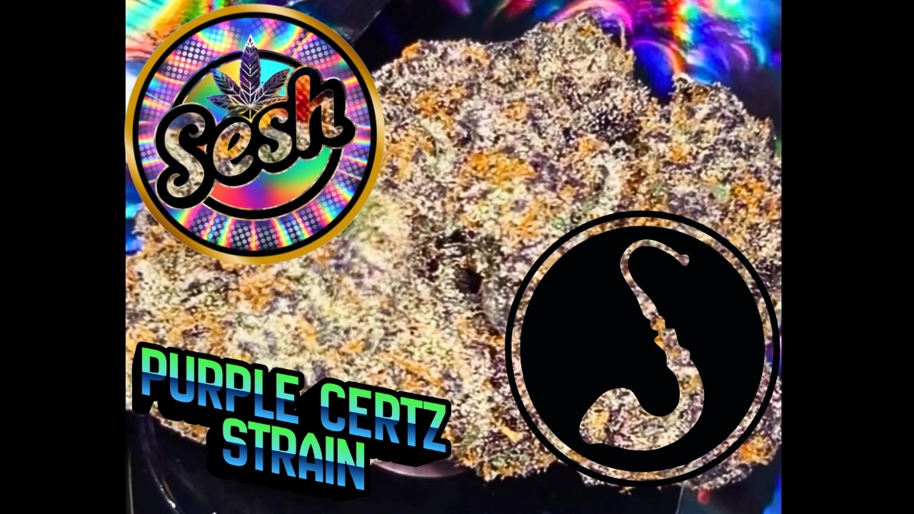 Purple Certz Strain Exotic THCa Flower