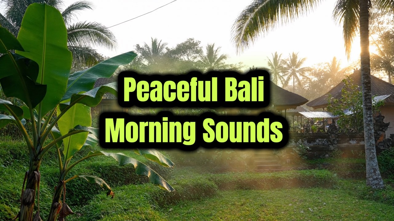Peaceful Bali Morning Sounds 🌿 Relaxing Nature Ambience