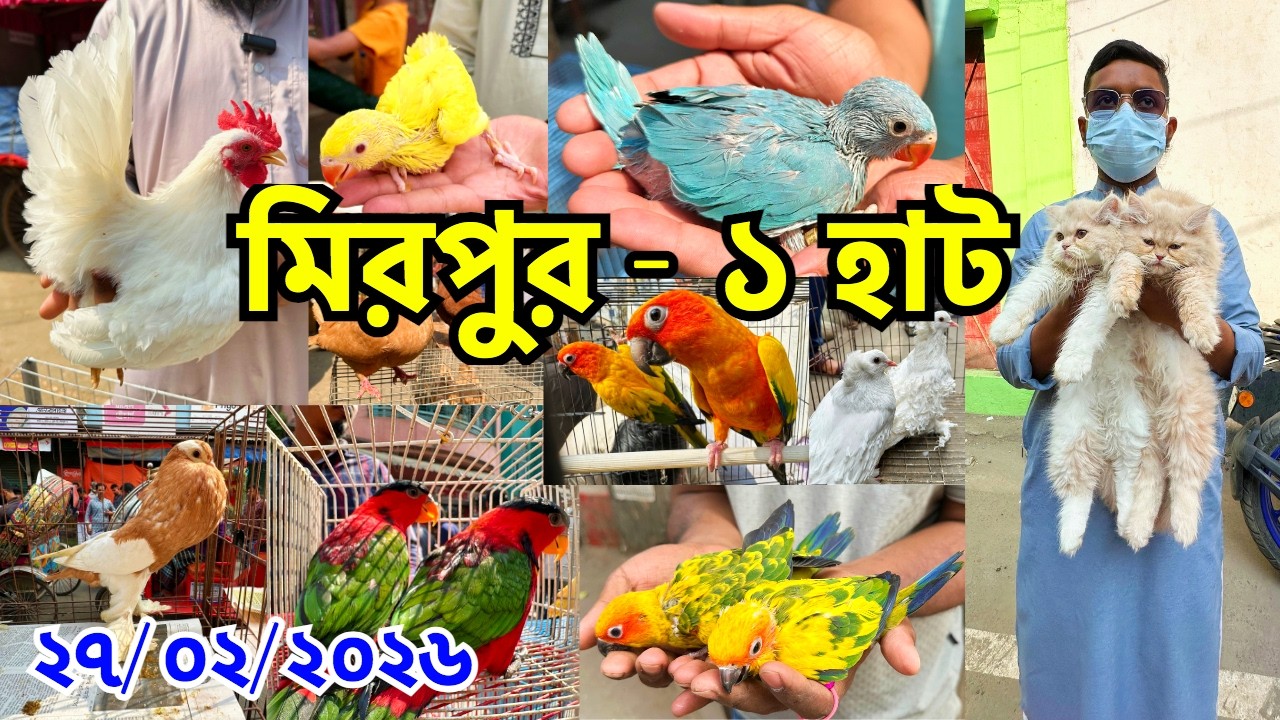 রোজায় হাটে লোকের উপচে পড়া ভিড়, কিন্তু ক্রেতা নেই তেমন | মিরপুর - ১ হাট | Mirpur -1 Pet Market #879