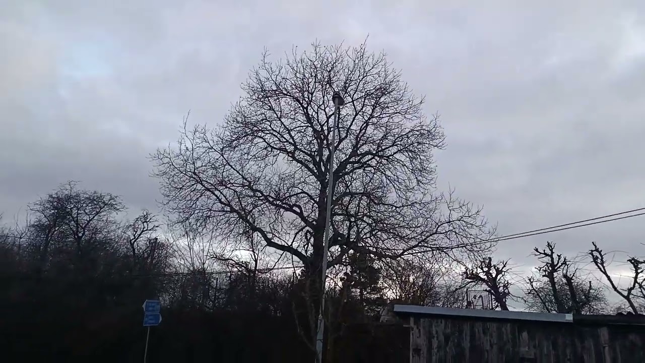 Už je to skoro jako jaro 😆