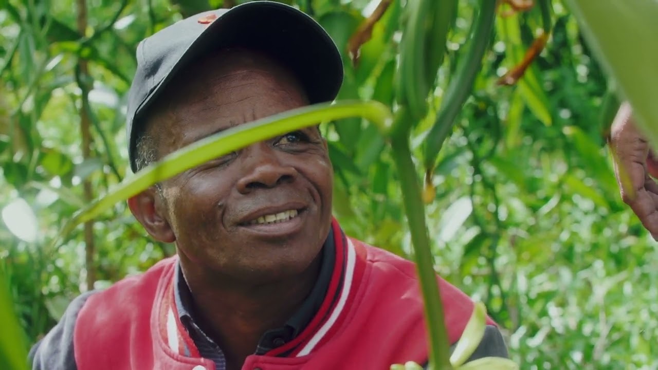 Le projet vanille de Livelihoods à Madagascar, 6 ans plus tard