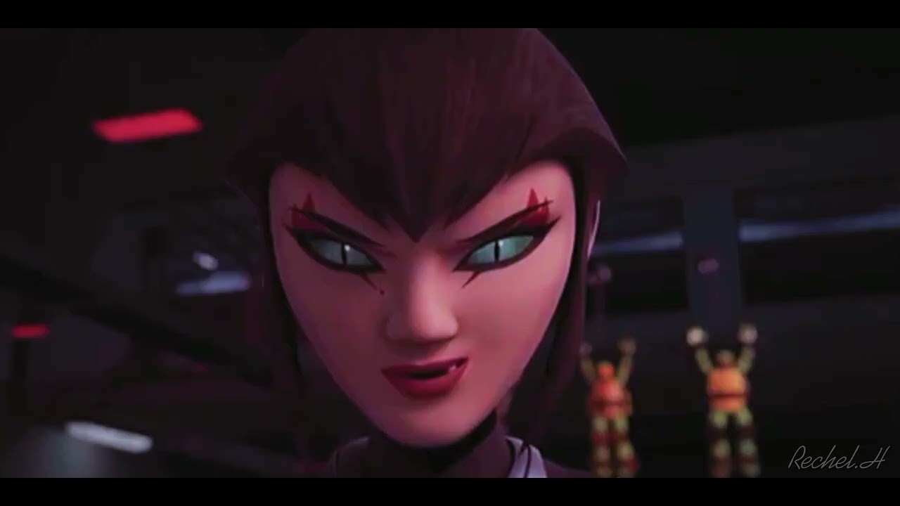 TMNT Set Fire To The Rain (karai and Leo) [leer descripción]