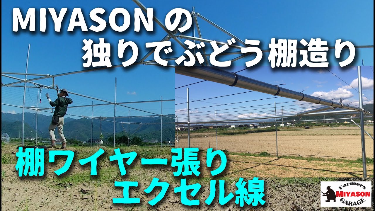 【2021年】ぶどう棚ワイヤー張り