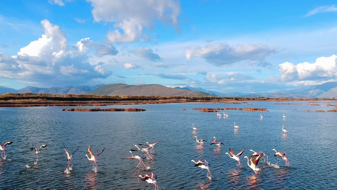Το νησί του αμβρακικού / The island of amvrakikos.