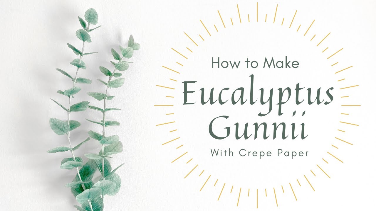 HOW TO MAKE PAPER GREENERY - EUCALYPTUS GUNNII