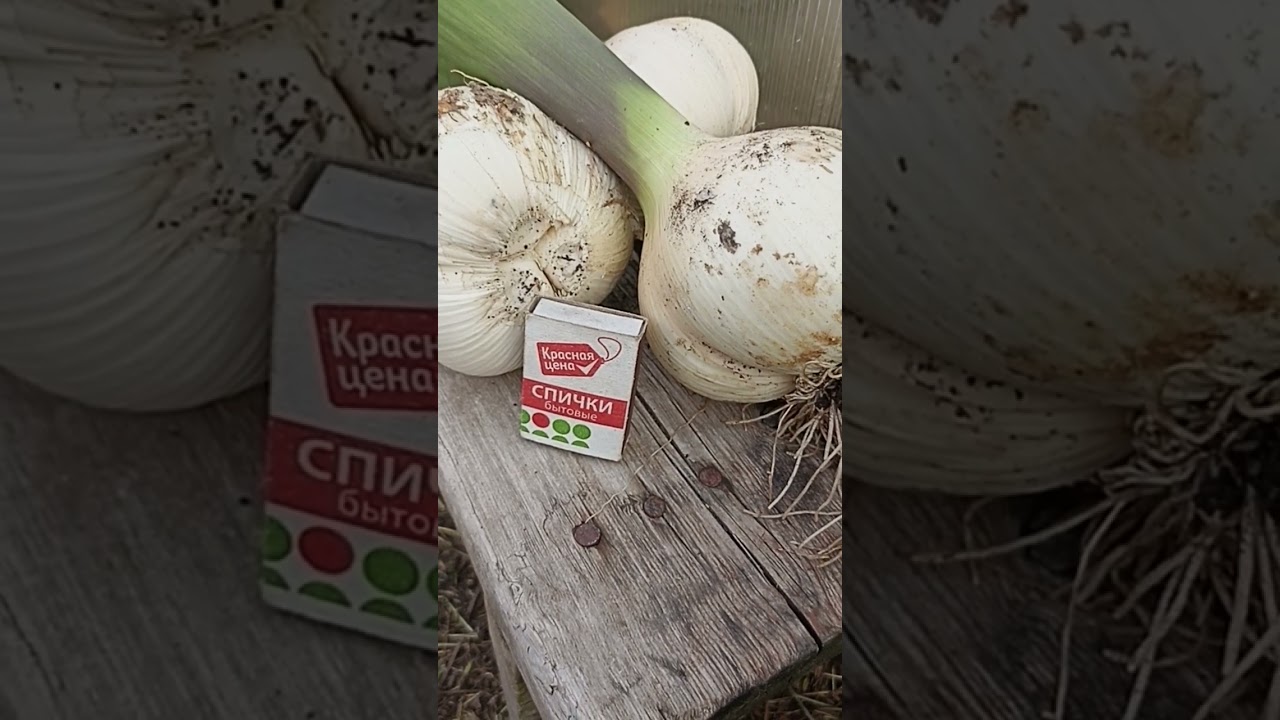 Вацап / мах  для каталога 89152458159 письменно