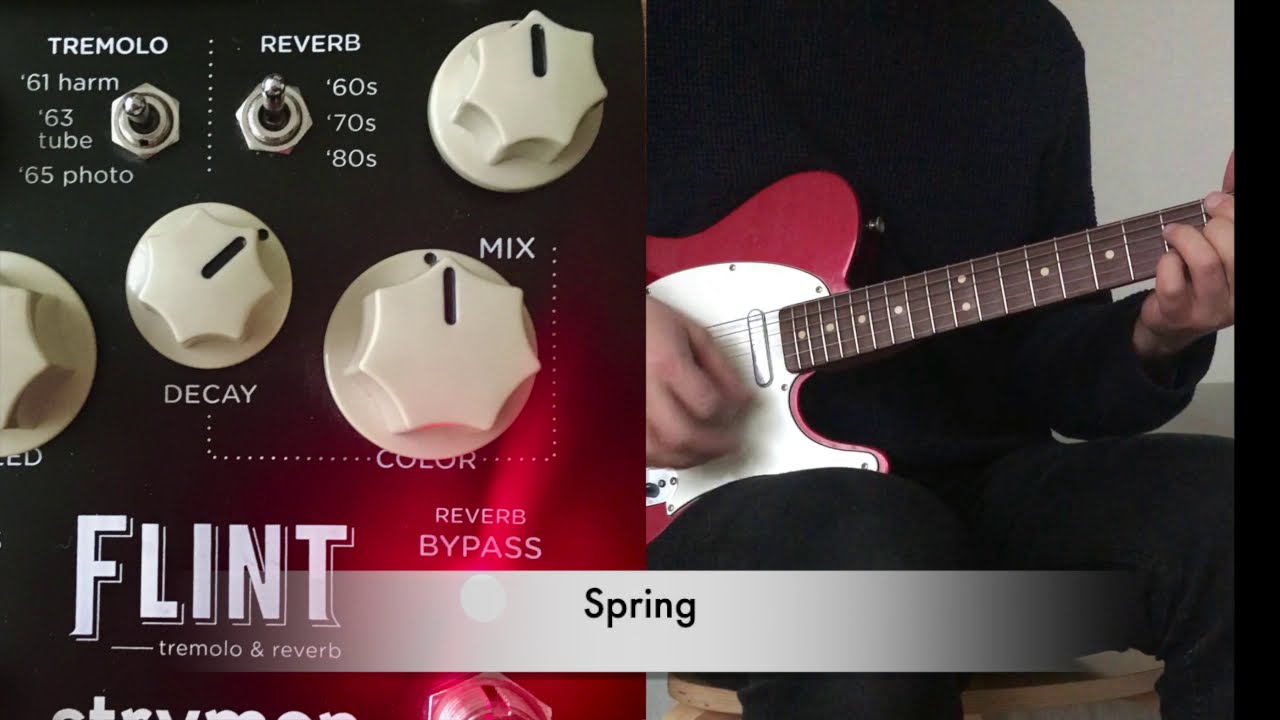 TC Electronic Hall of Fame 2 vs Strymon Flint