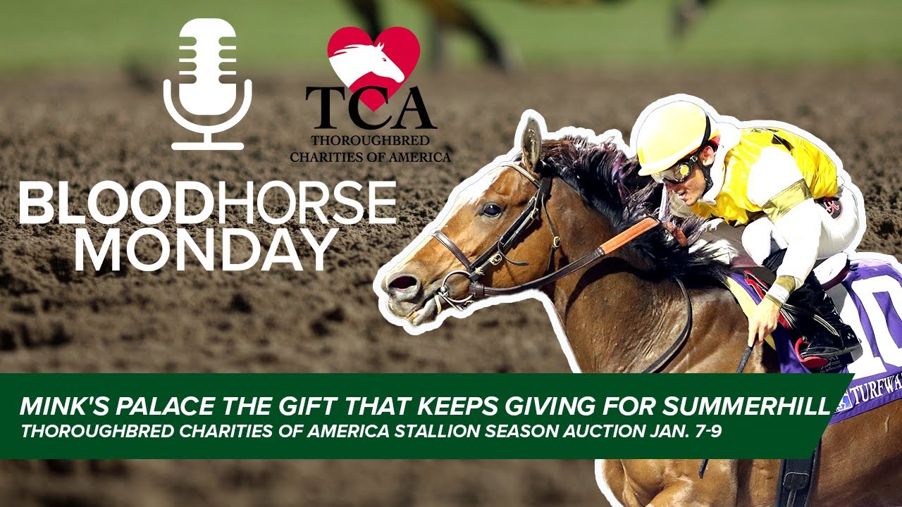 Mink's Palace, TCA: Gifts That Keep Giving, Santa Clause's Racehorse Team | BloodHorse Monday | E047
