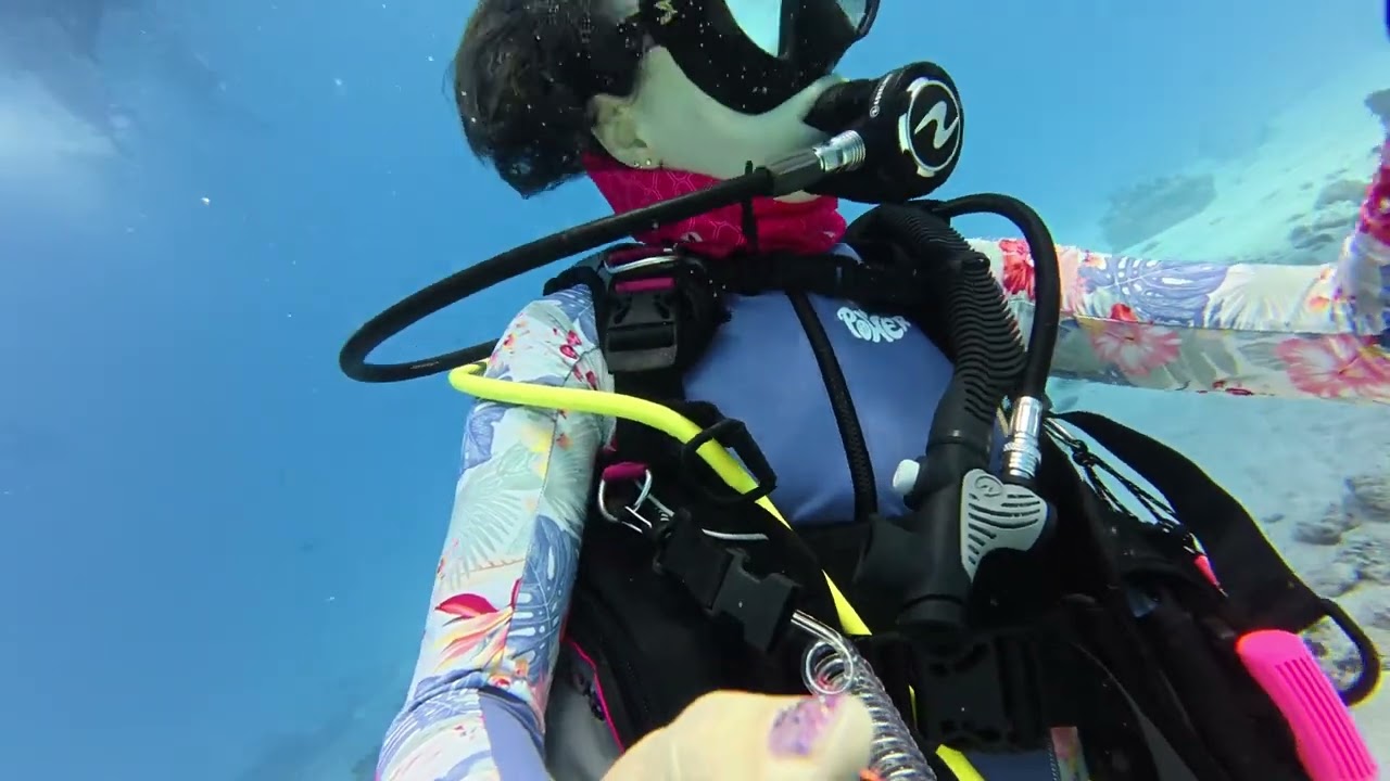 RedSea Dive 20 Gotta Abu Ramada 20250808 3rd Dive Part1/2