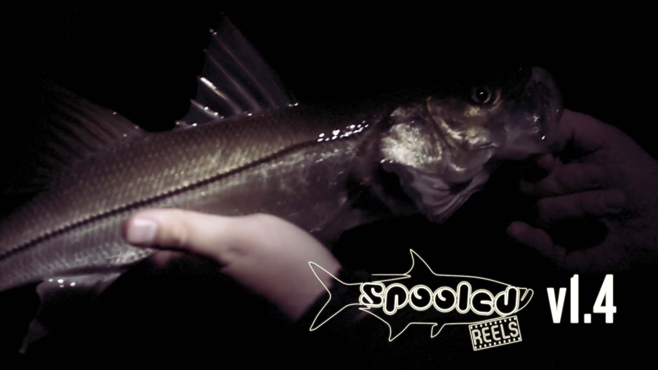 Docklight Snook - Docklight Chronicles v1.4