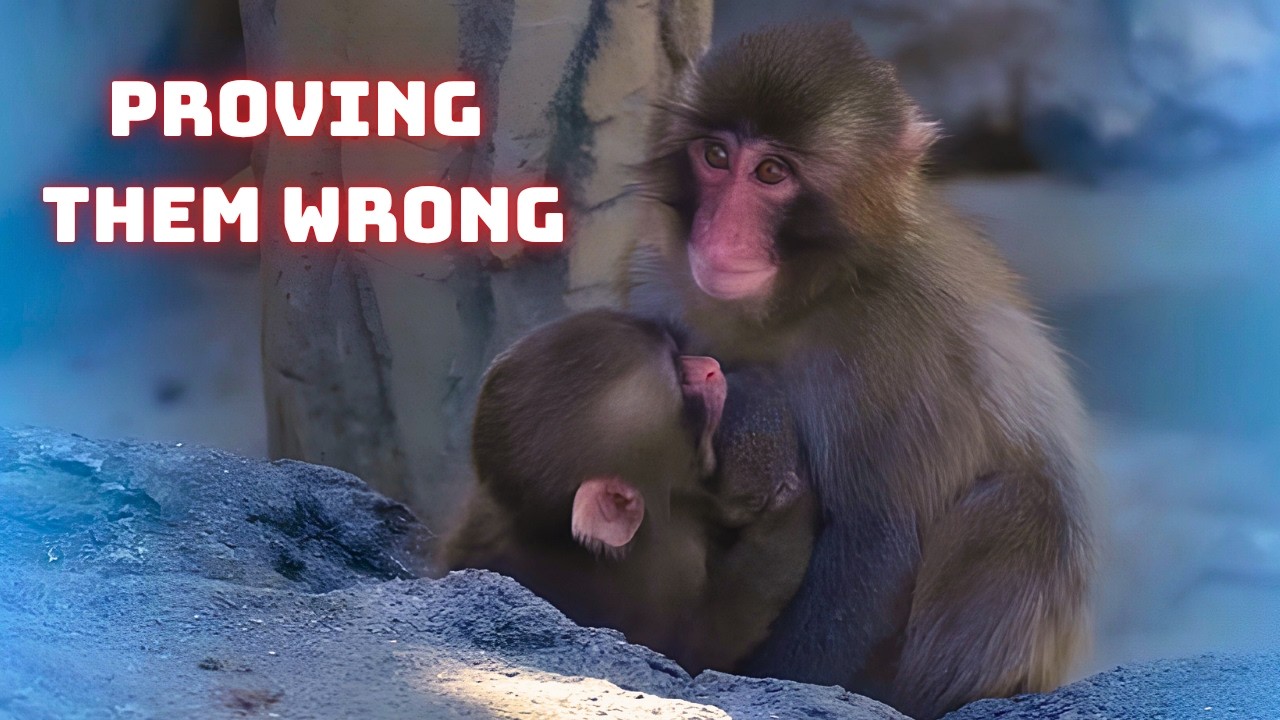 Will Punch Become Aggressive as He Grows Up? The Truth